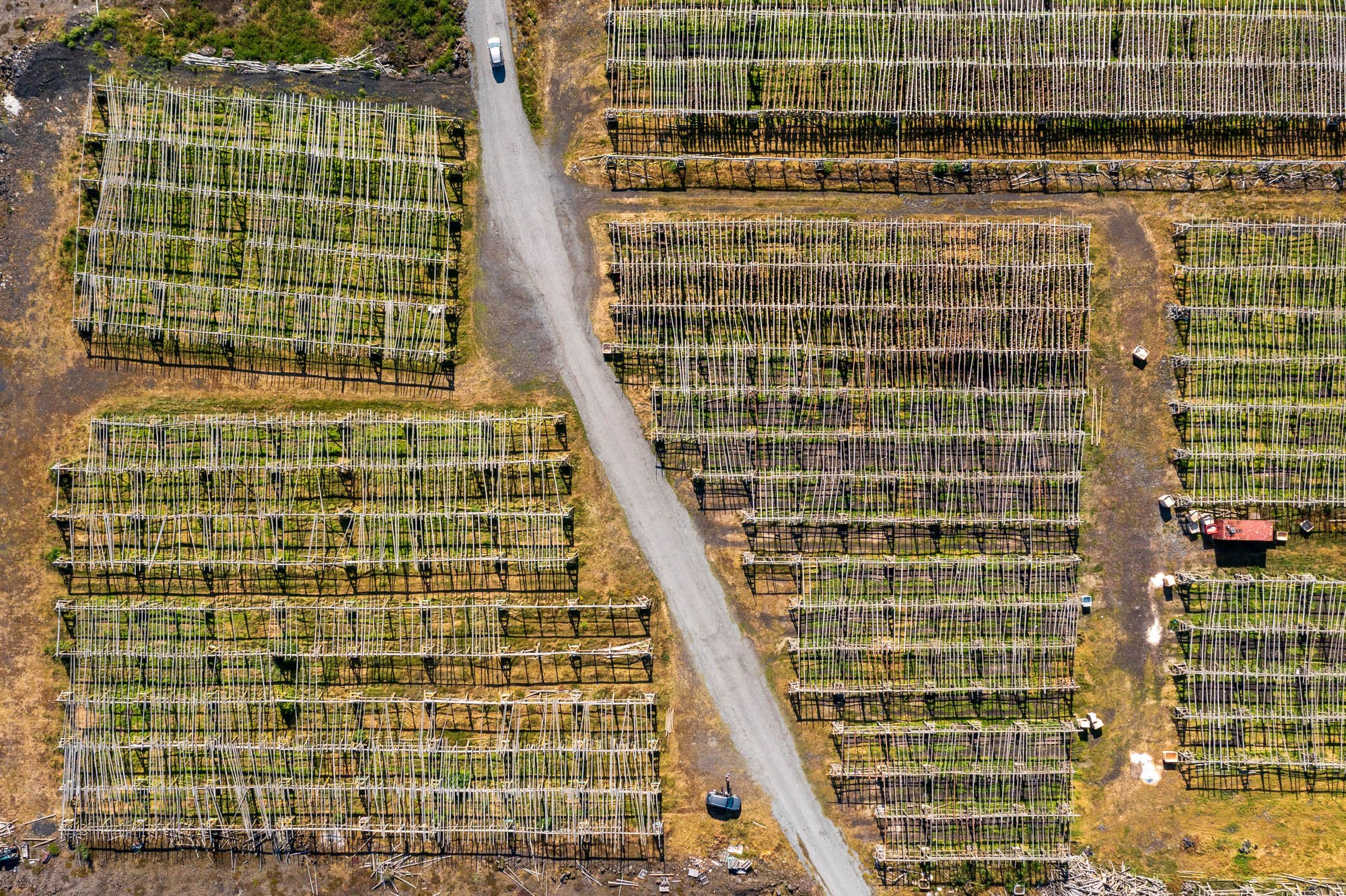 Rural Field Patterns from Above - DJI_0209.jpg
