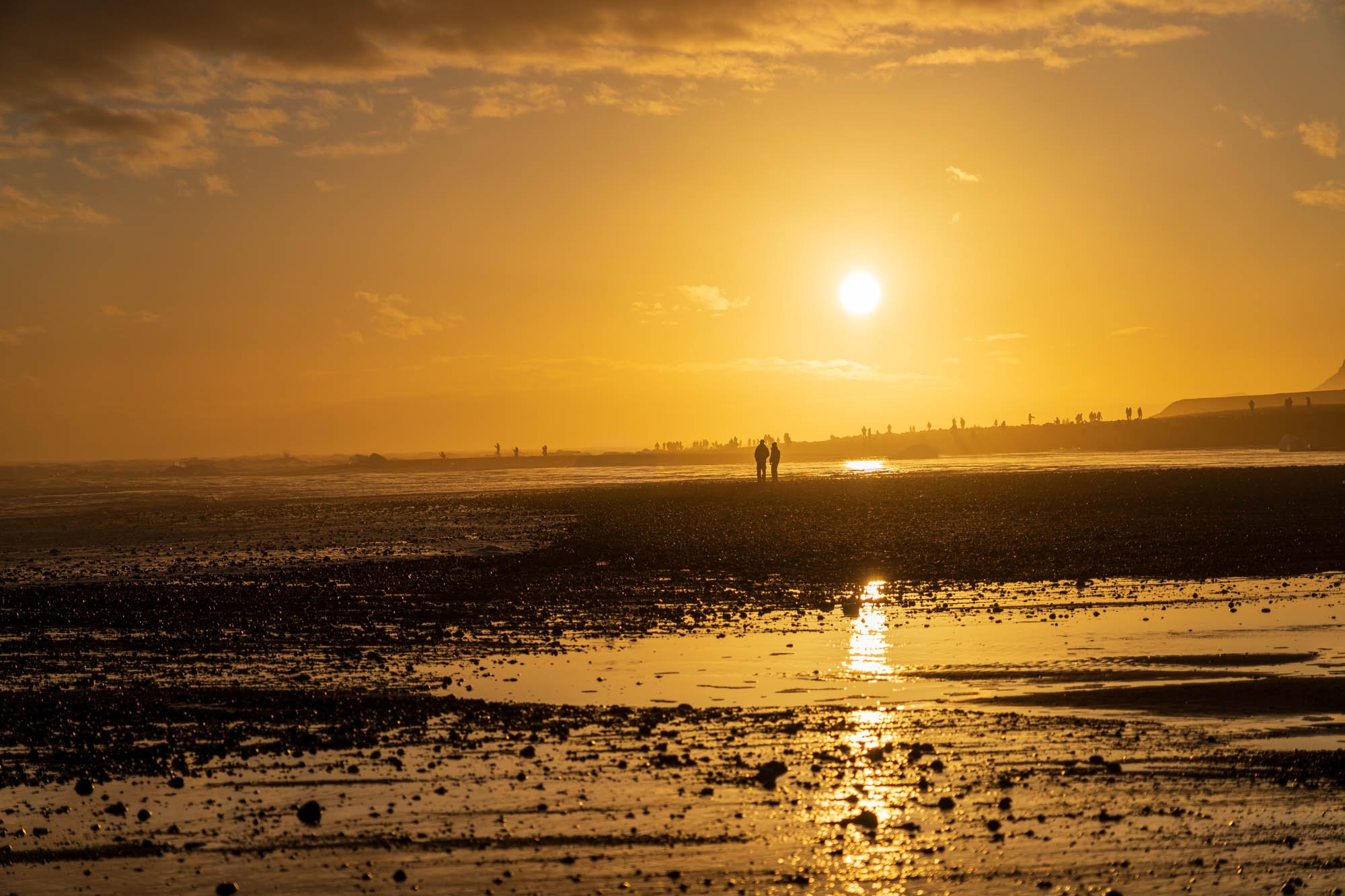 Golden Sunset Over a Tidal Flat - SIG05825.jpg