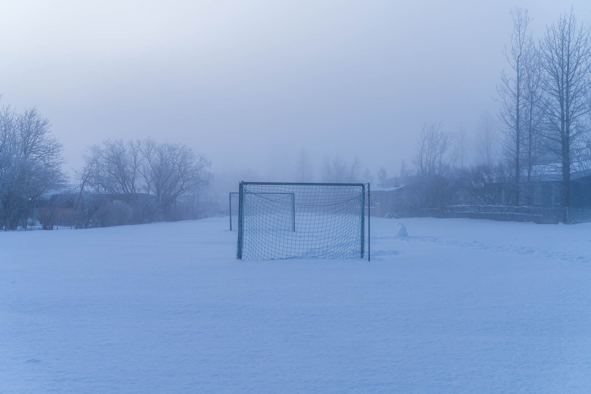 Snow-Covered Goal in a Whiteout - SIG05688.jpg