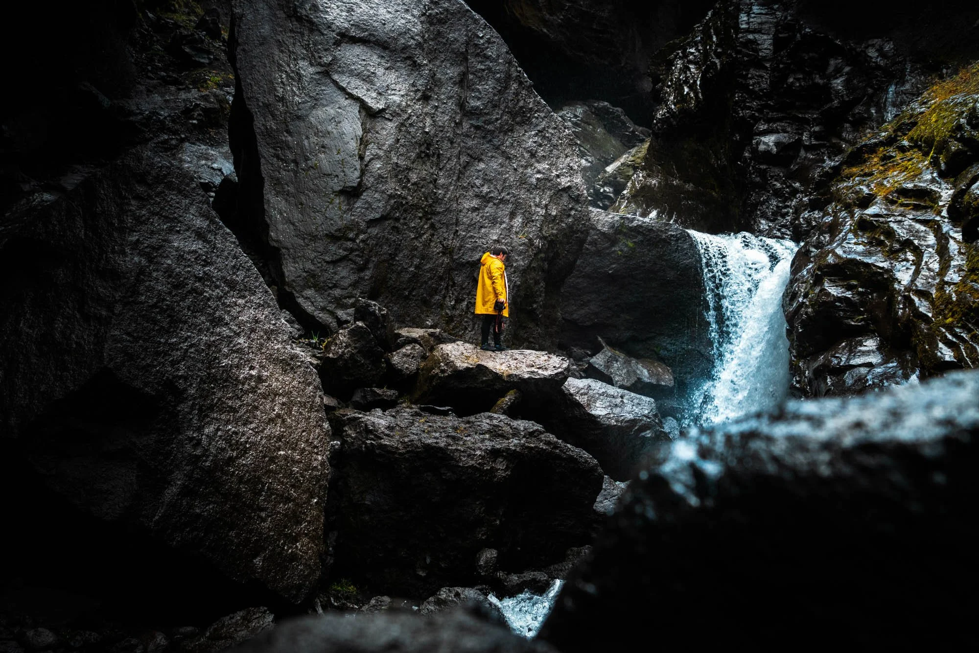 Yellow Jacket Beside a Hidden Waterfall - SIG03350.jpg