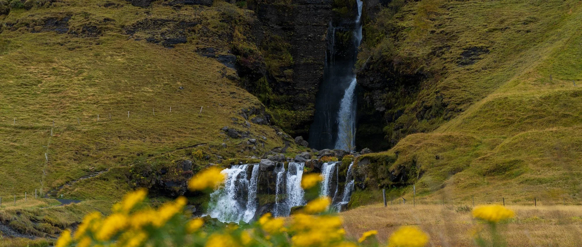 Fljótshlíð Waterfall with Yellow Flowers.jpg