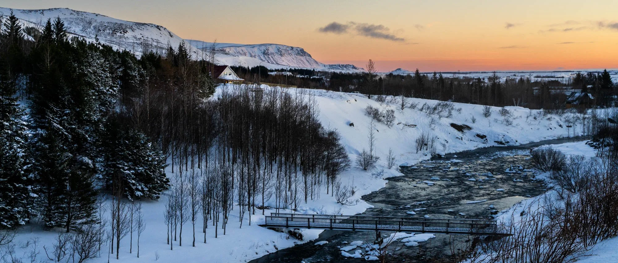 Hveragerði River and Winter Trees.jpg