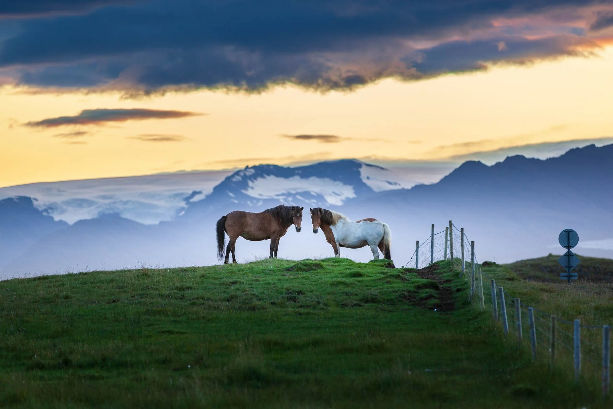Horses at the Edge of Vestrahorn Light.jpg
