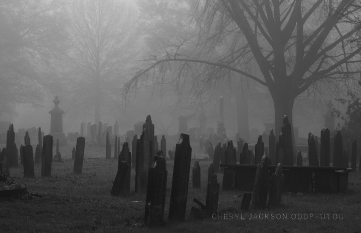 Ewing Presbyterian Church Cemetery, New Jersey