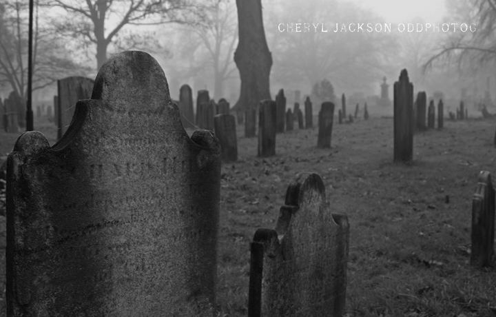 Ewing Presbyterian Church Cemetery, New Jersey
