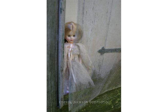 Doll – Peeking Through the Screen Door