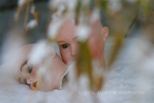Doll Heads – Chilled