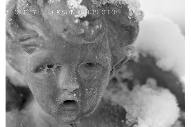 Frosted Angel