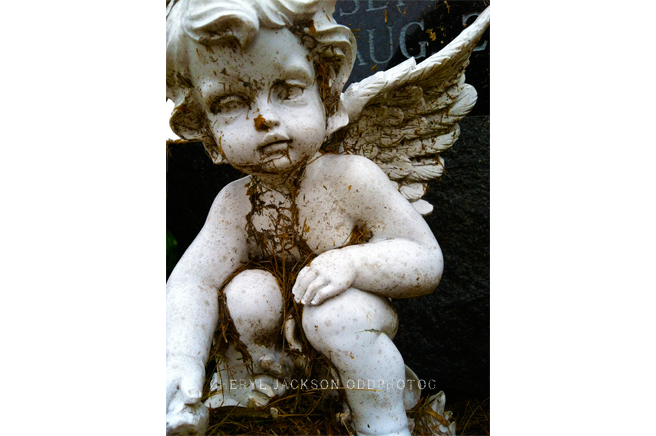 IMG_2526.png