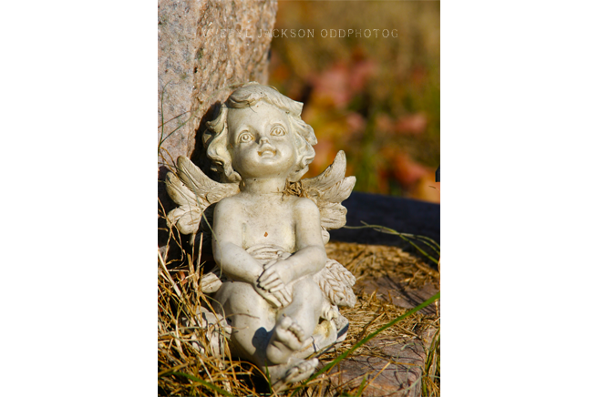 IMG_4828.png