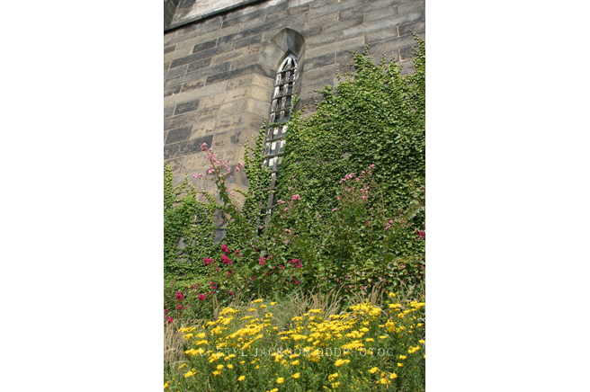 IMG_4499.png