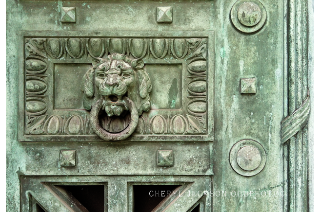 Lion's Roar