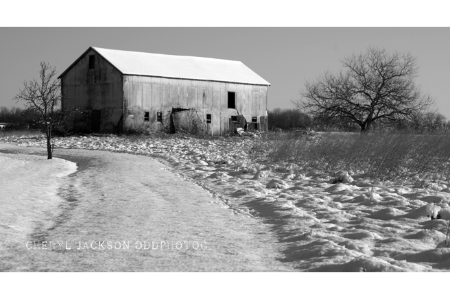Snow's Serenity
