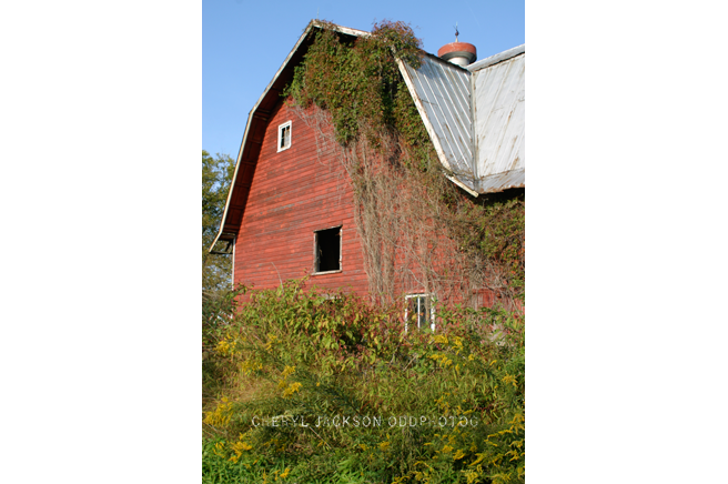 Overgrown