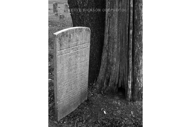 Princessville Cemetery, New Jersey