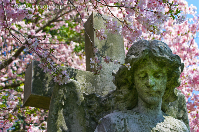 IMG_7735.png
