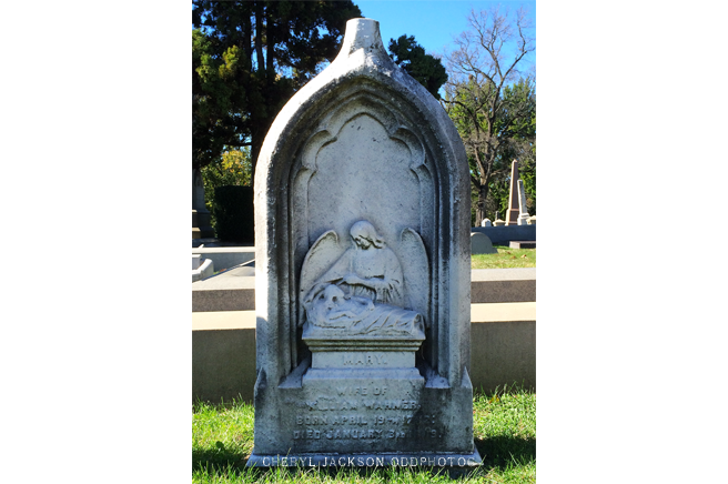 IMG_1411.png