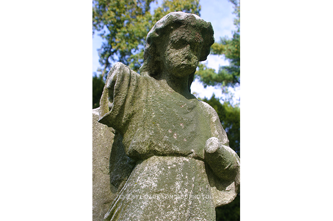 IMG_4239-copy.png