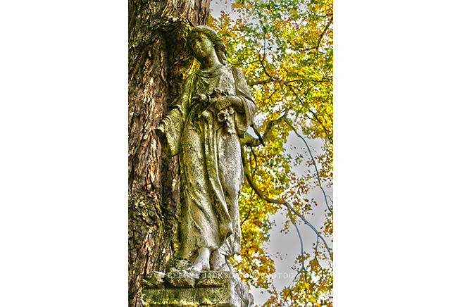 IMG_4156.png