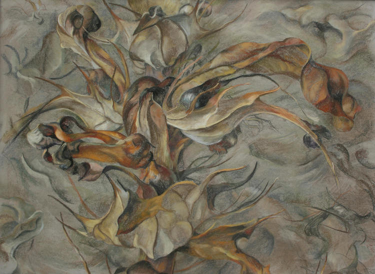 B.Hereafter,+acanthus,+(pastel+21x26ins)jpeg.jpg