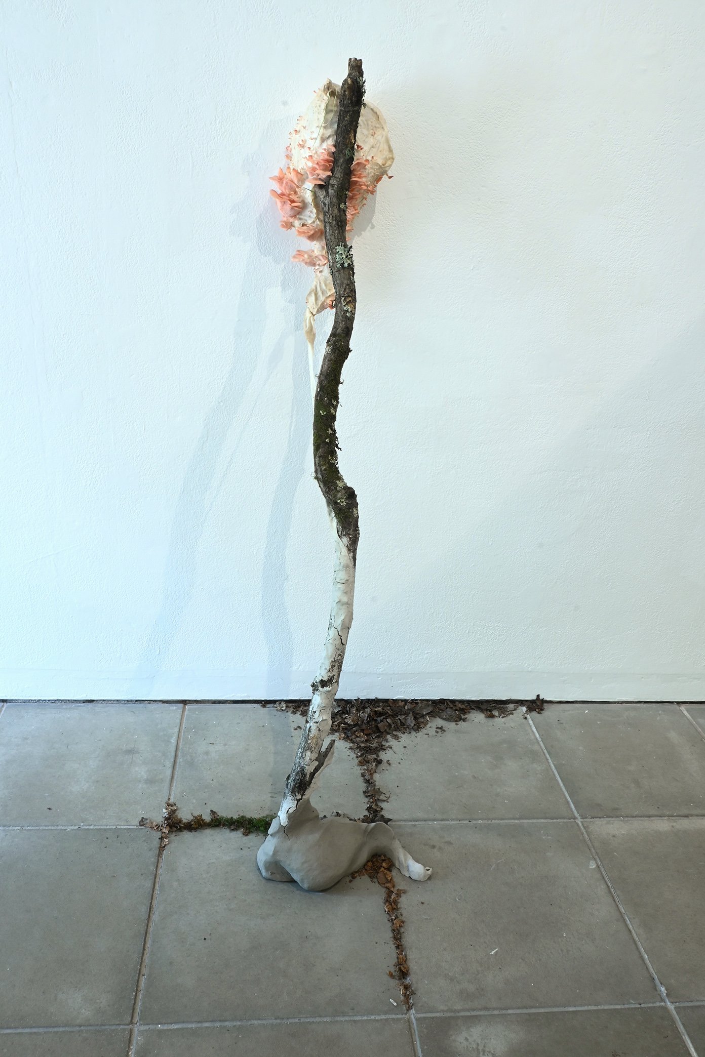 Flux. Interwoven Ecosystems.jpg