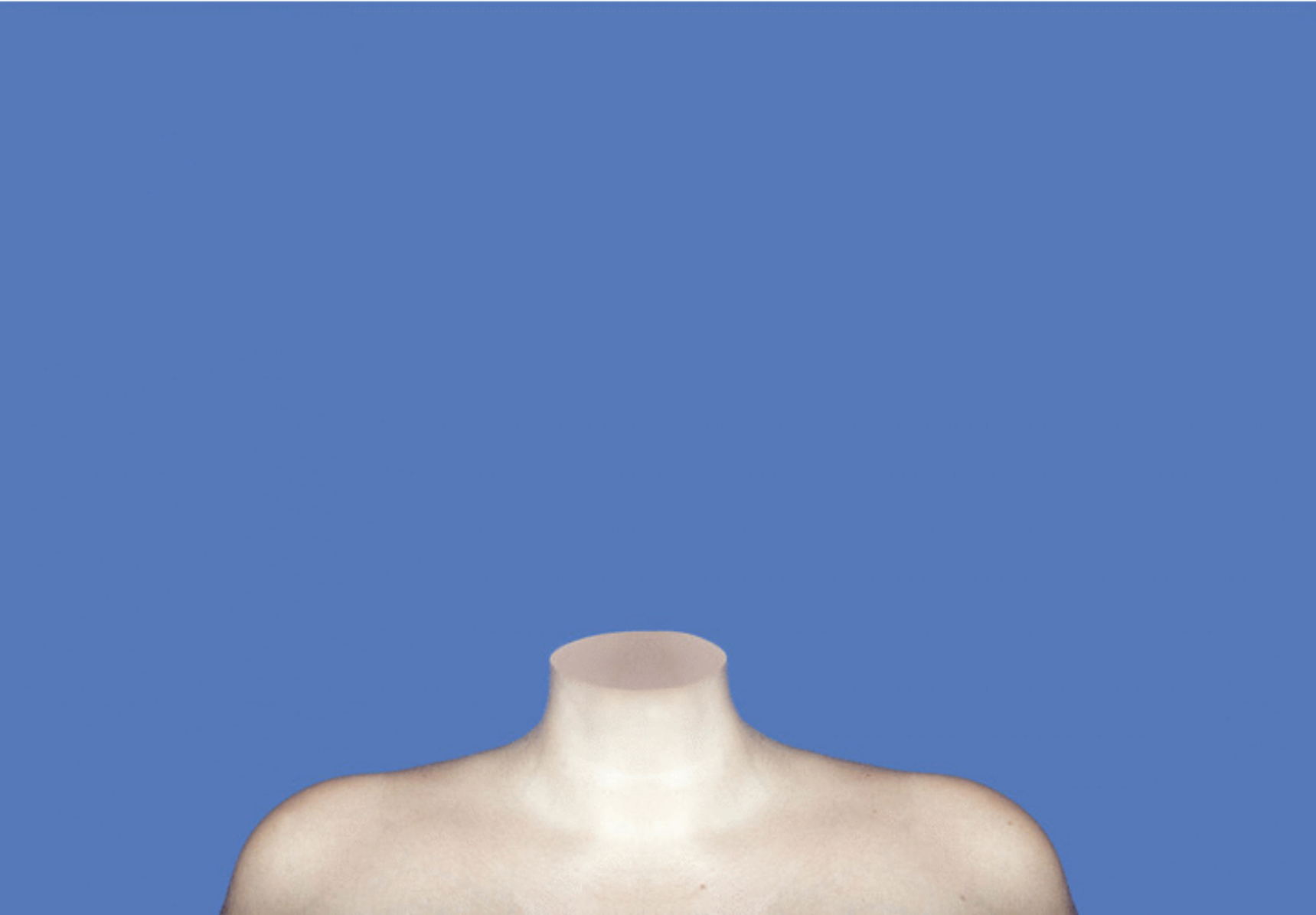 WebsiteGIF.gif