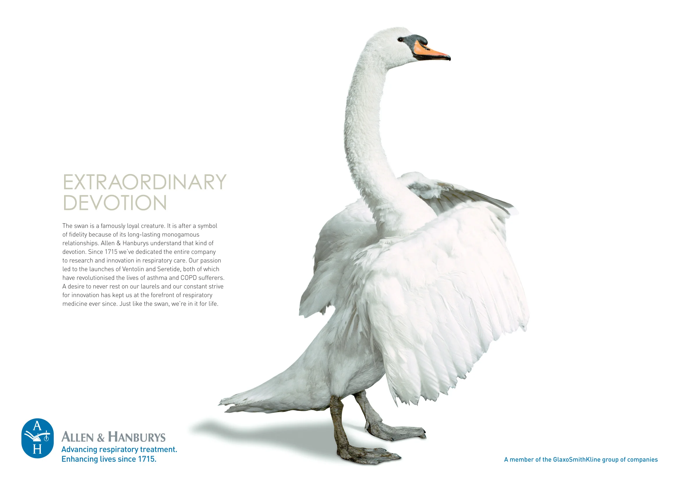 DDB HEALTH_DEDICATION_3.jpg