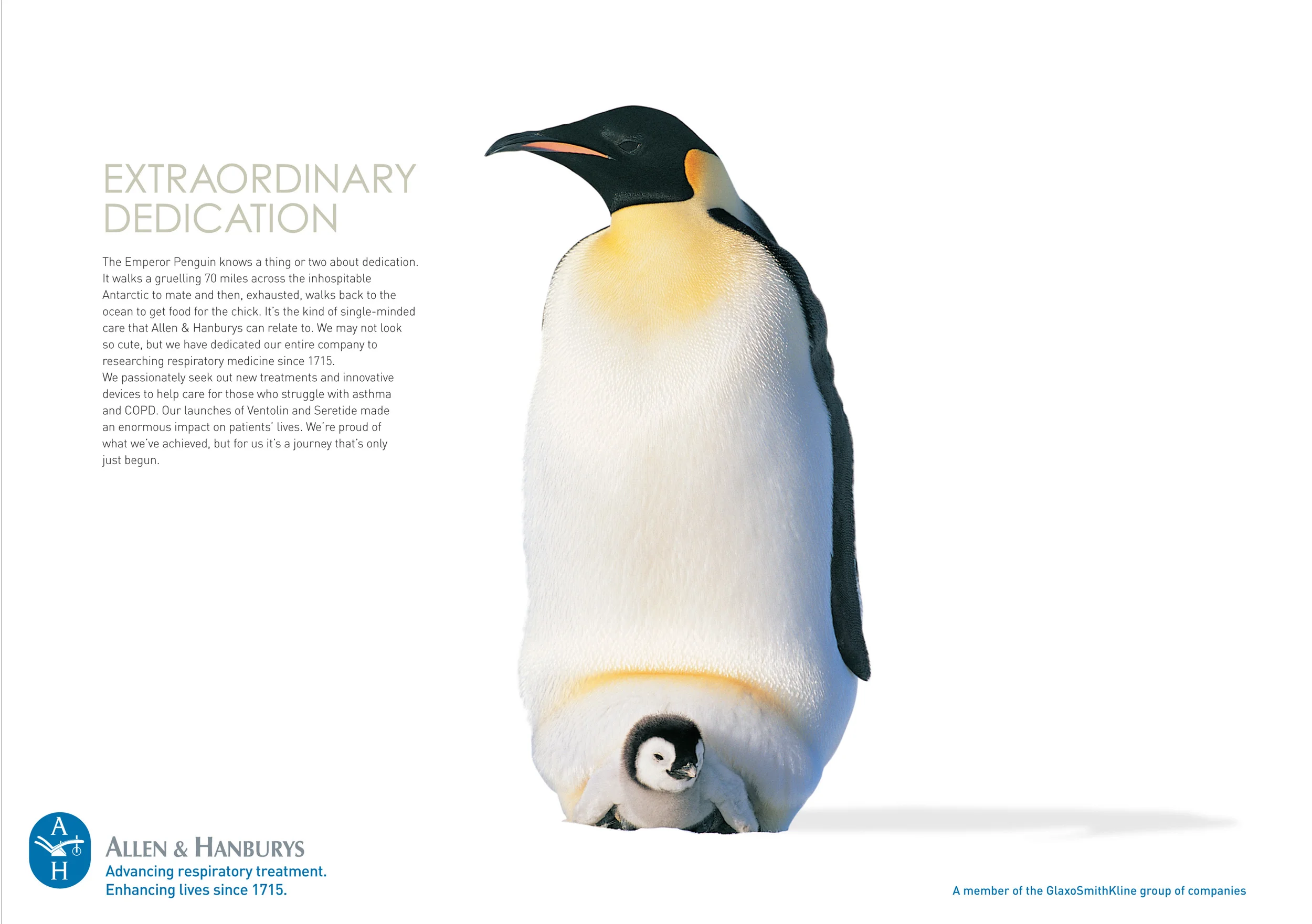 DDB HEALTH_DEDICATION_1.jpg