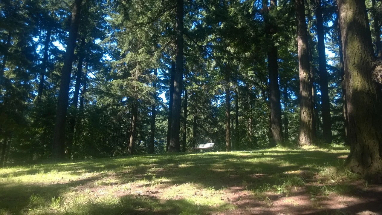 WP_20140701_16_46_02_Pro.jpg