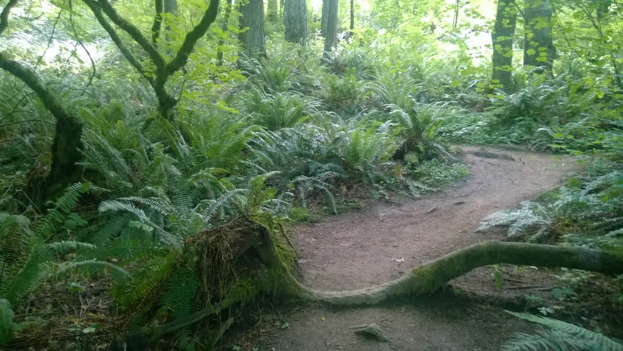 Portland Outdoor Highlights in 5, 4, 3, 2, 1 (Oregon #3)