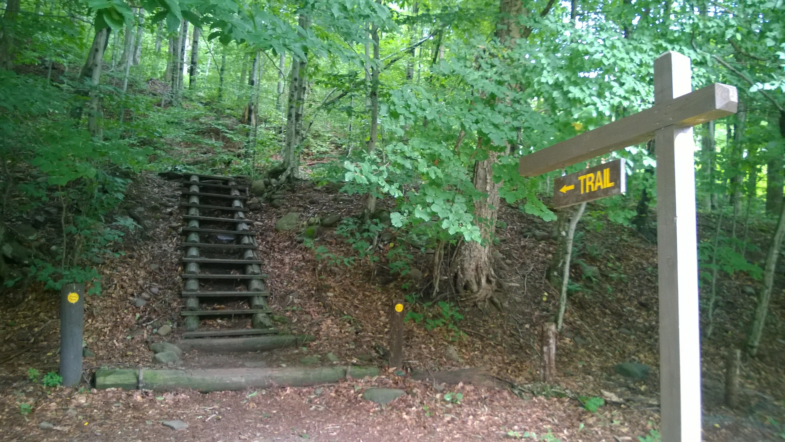 WP_20140823_13_05_50_Pro.jpg