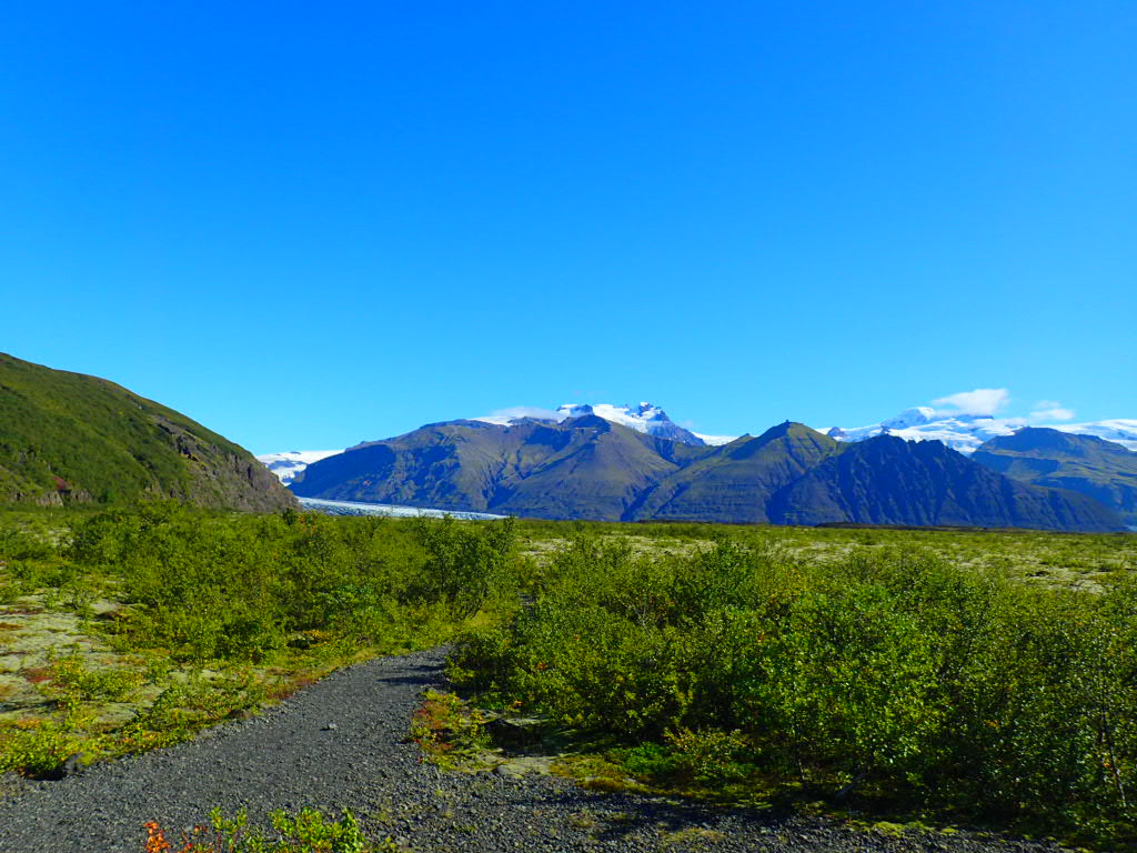 P9061846_JPG.jpg