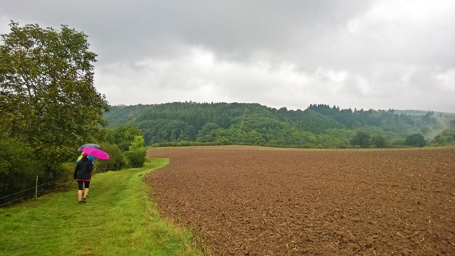 WP_20140921_14_01_26_Pro.jpg