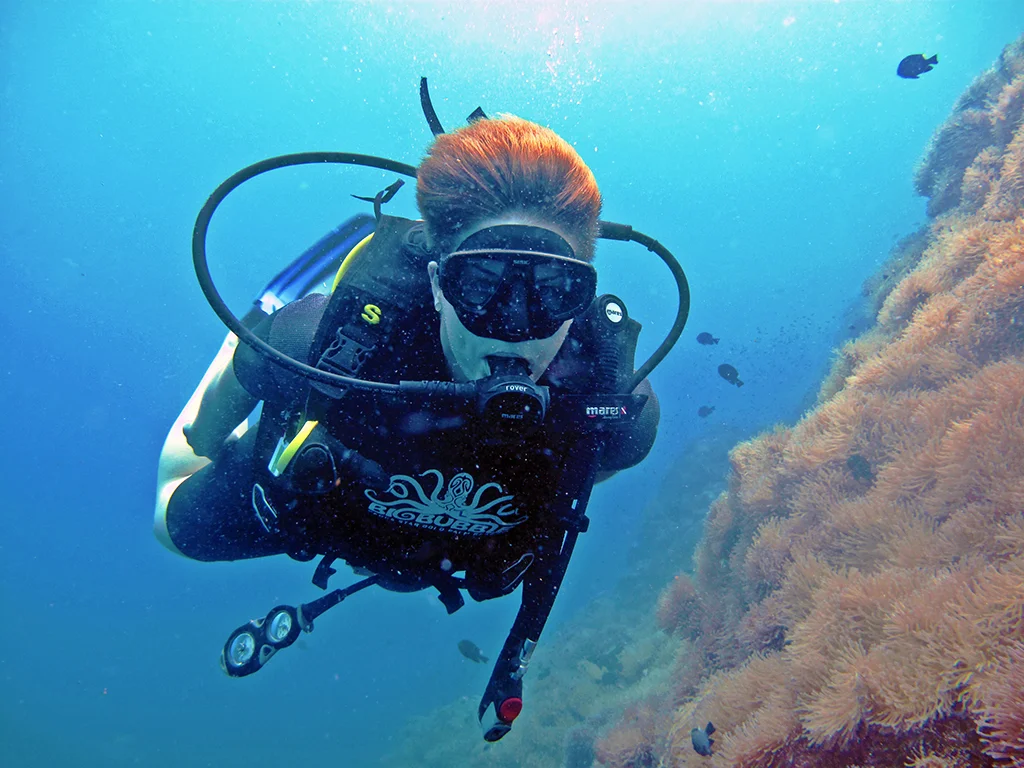 Flying with the fishes: Learning to dive off the shores of Ko Tao, Thailand