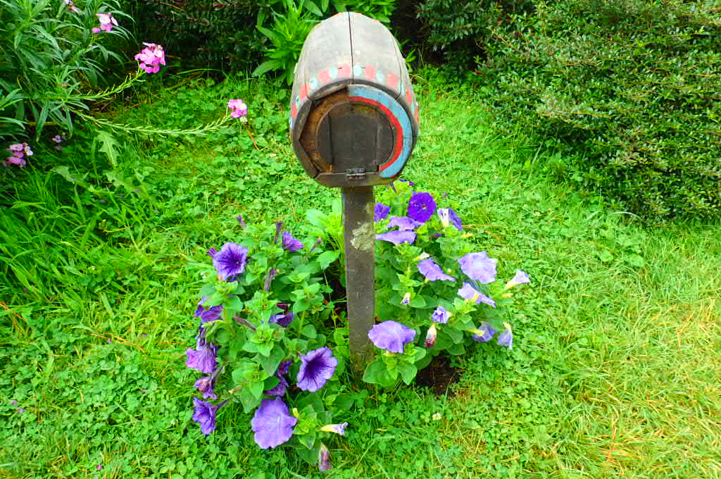 PC113464_JPG.jpg