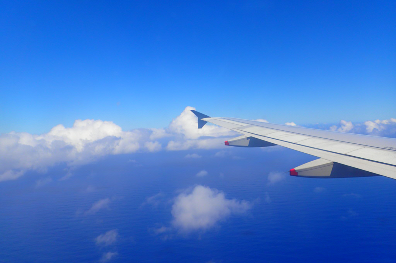 awardplane.png