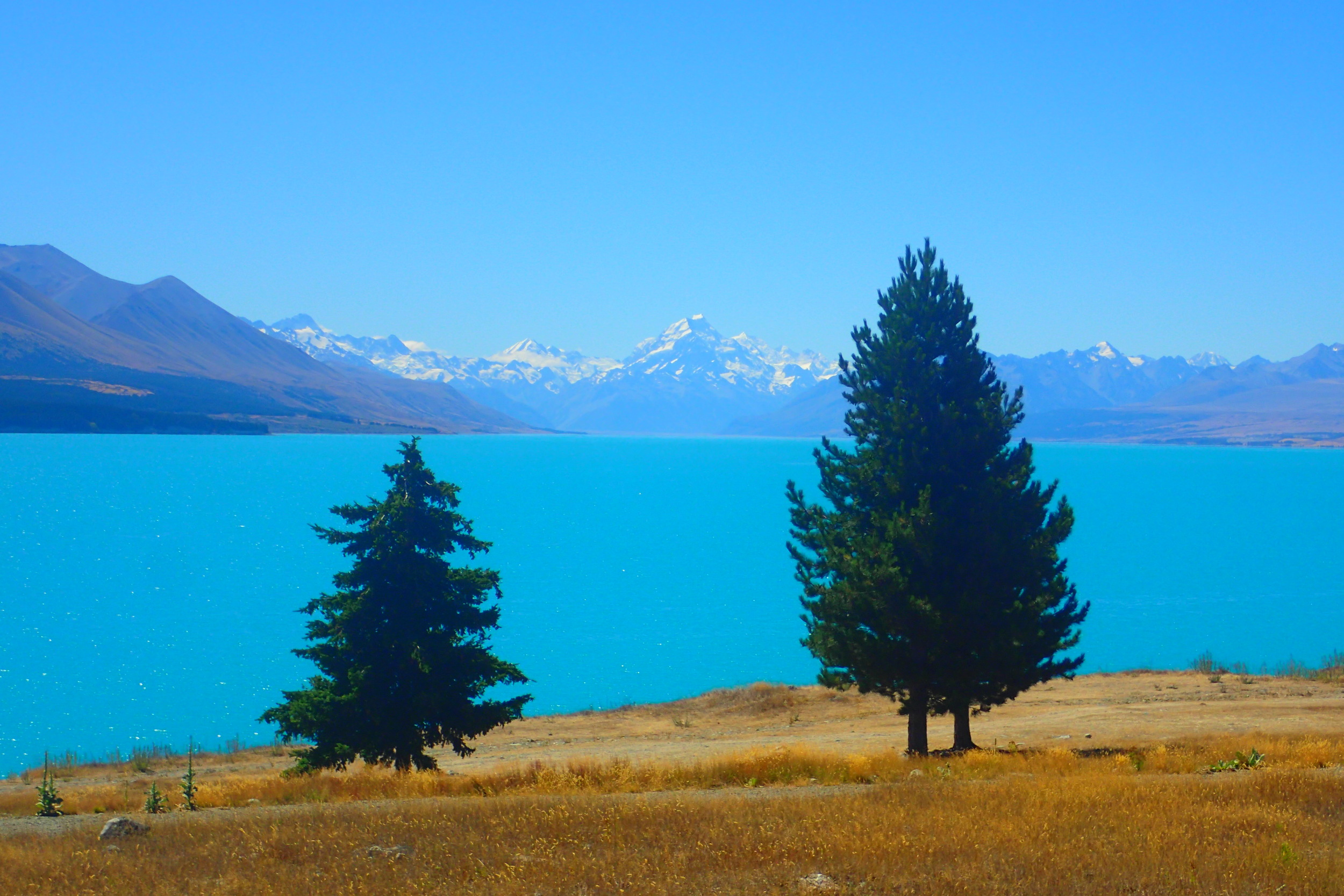 Lake Pukaki To Tekapo The World S Best Star Gazing And My Favorite Place On The South Island Deviating The Norm