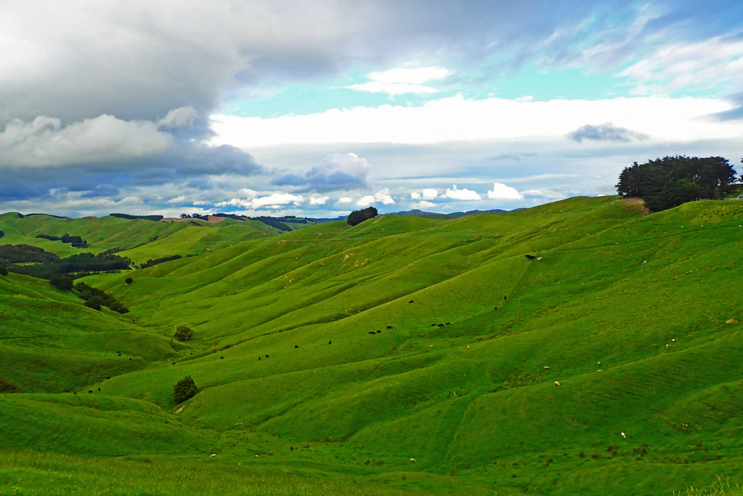 The Battle of Poo Hill and showering in a New Zealand library