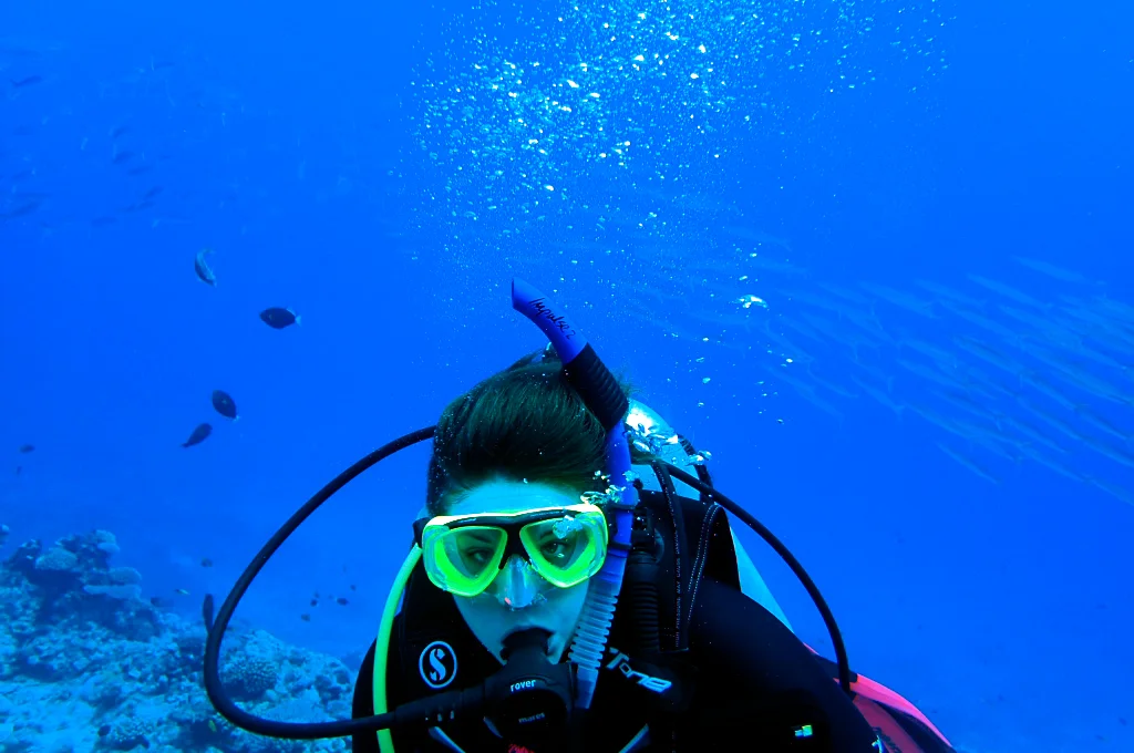 Humpback whales singing underwater: A Niue diving experience [Video]