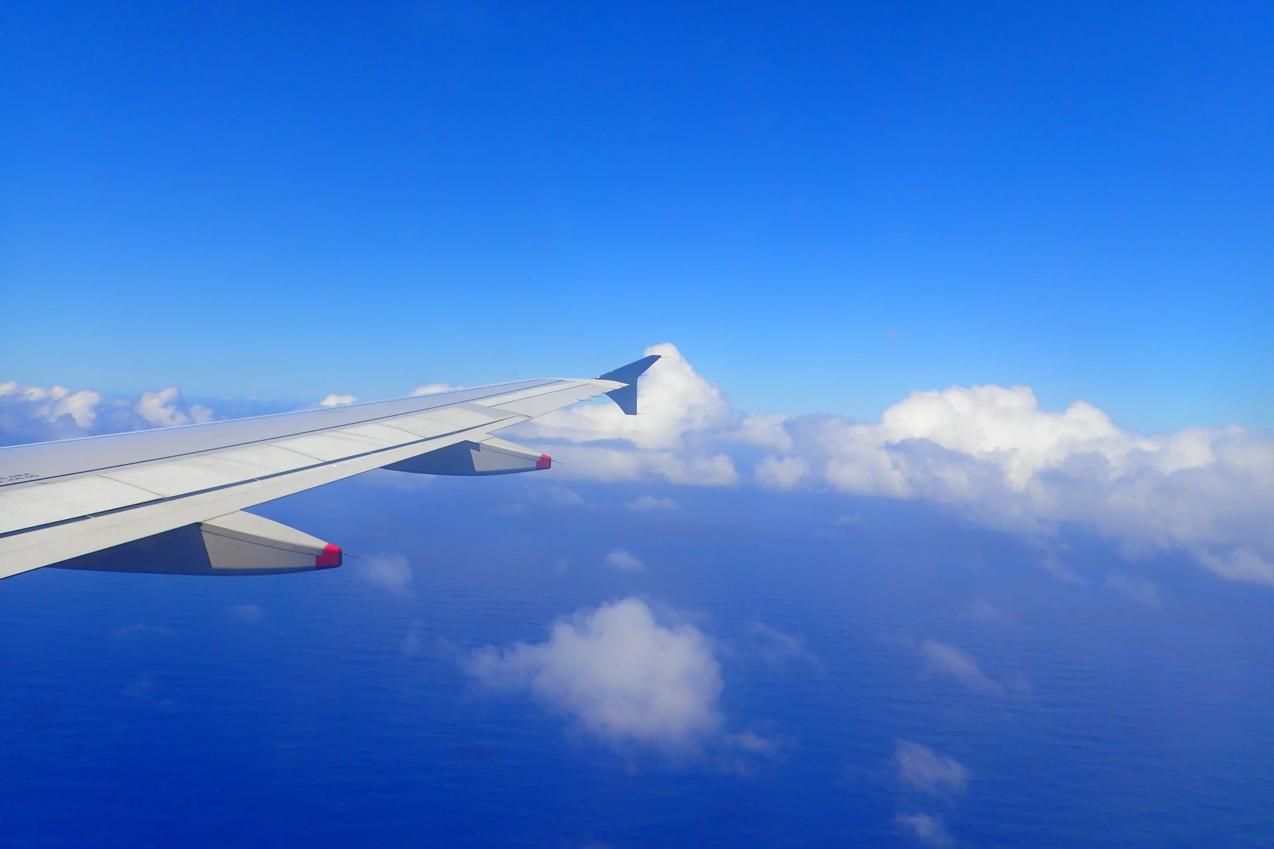 Sisterhood of the World Bloggers Award: Breaking the rules