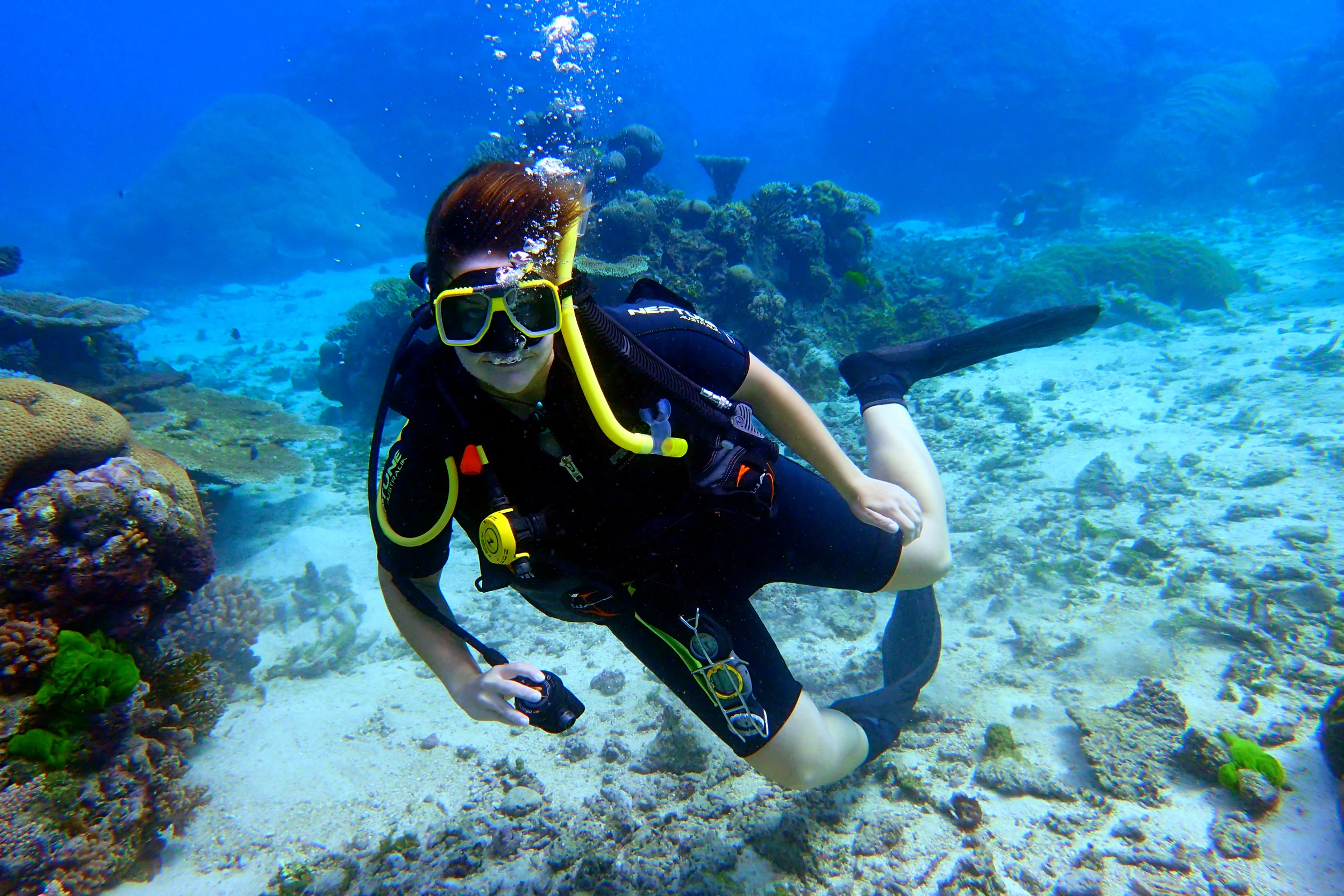 Video montage: Diving the Great Barrier Reef