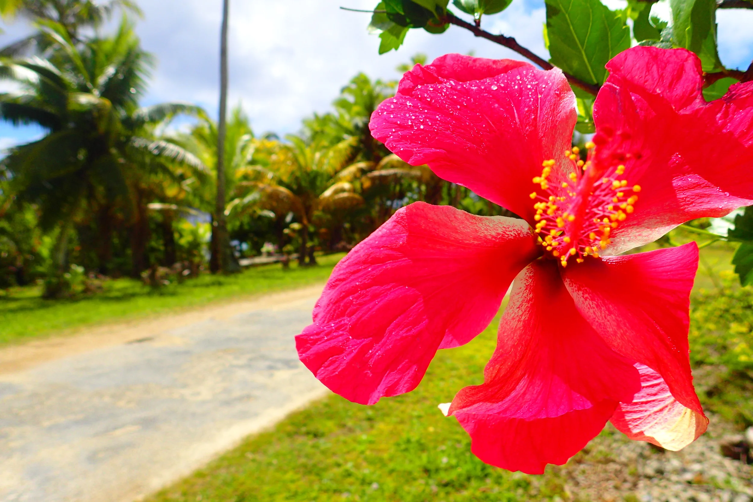 One year of travel: Celebrating from a new location