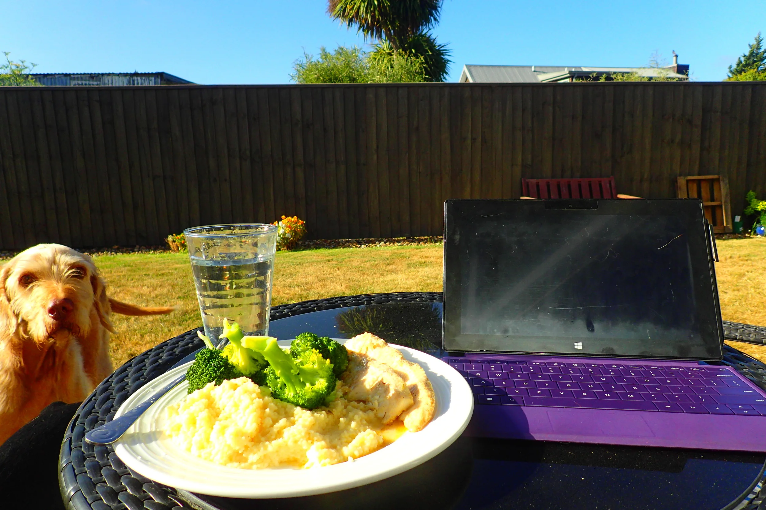 Housesitting & Couchsurfing: The benefits of staying for free across the world