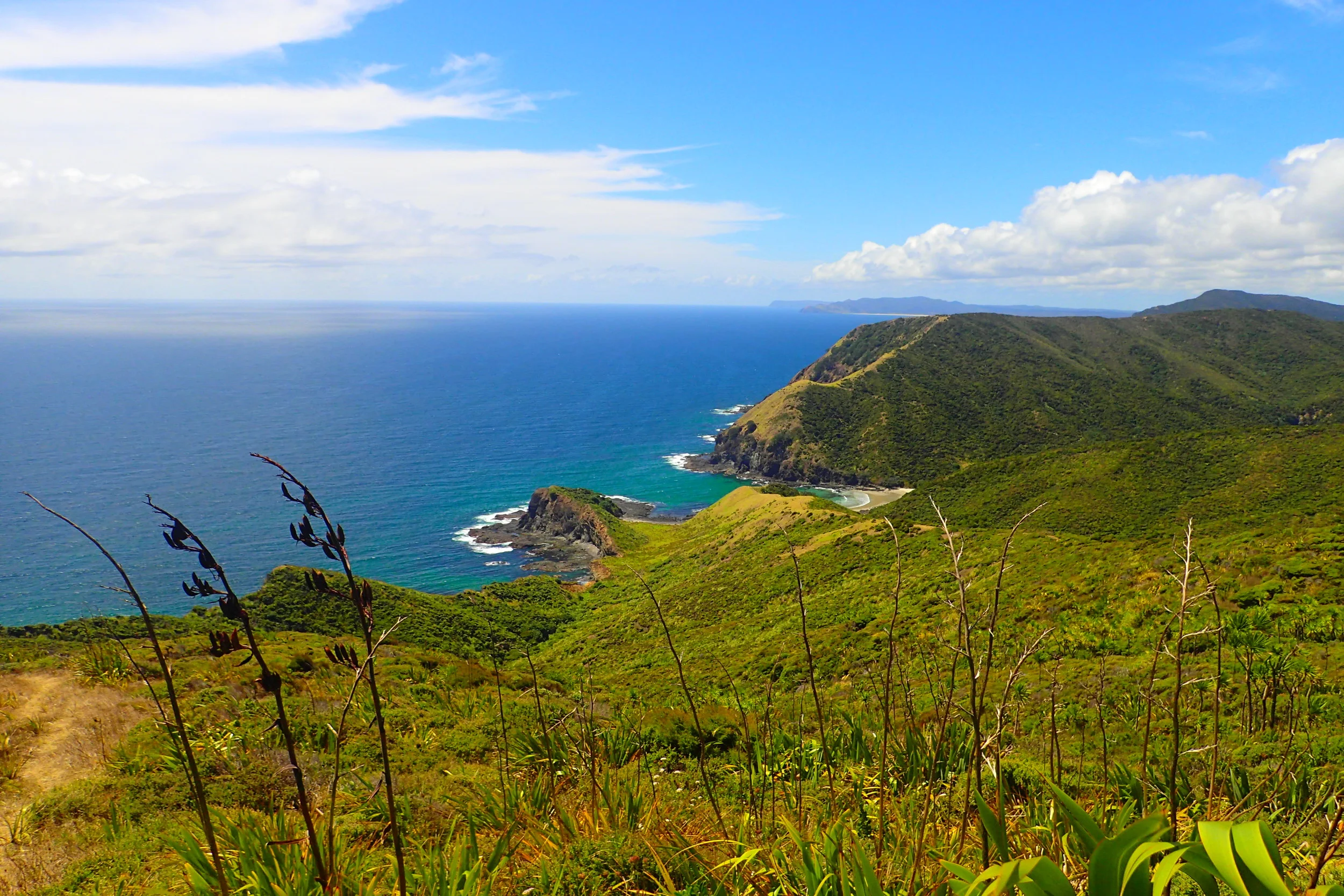 Life and death at Cape Reinga and Spirit’s Bay: The sacred North of New Zealand