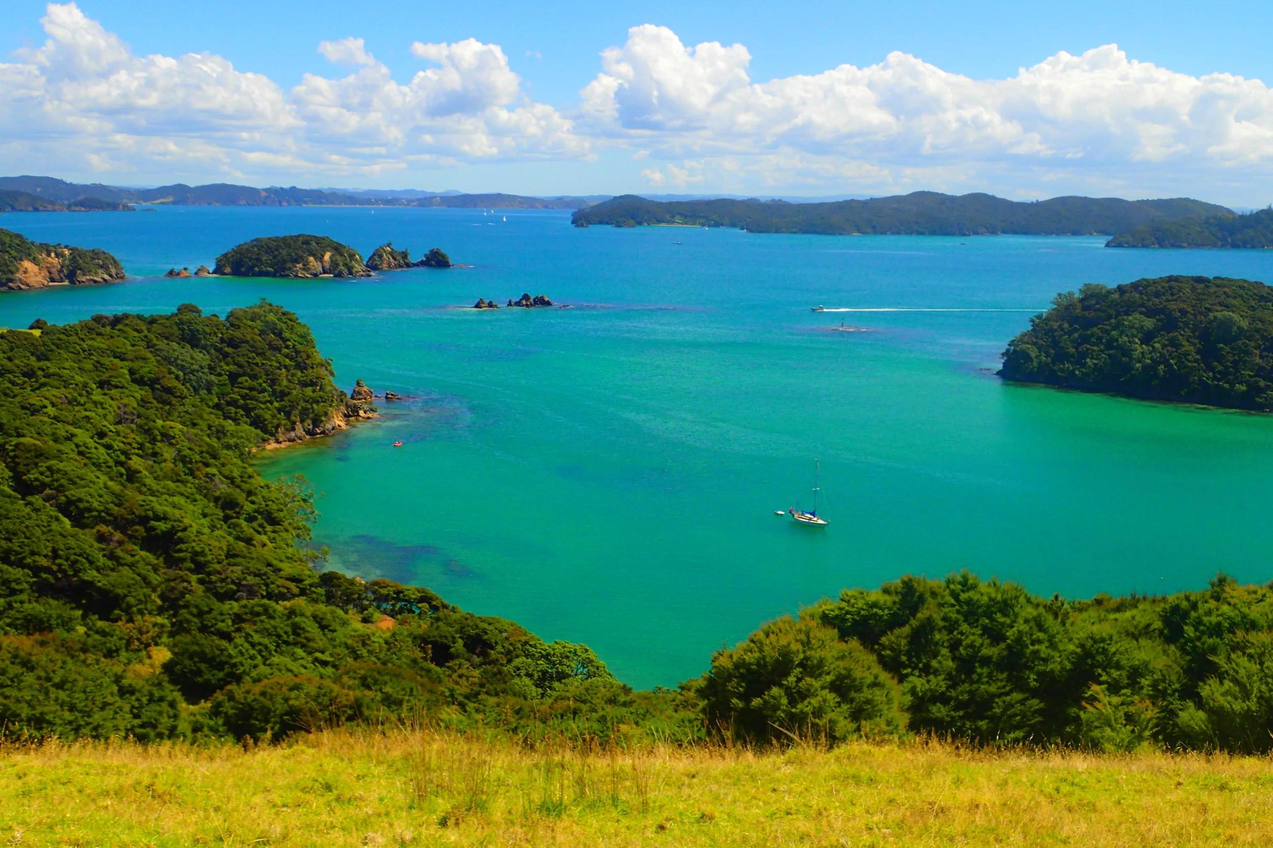 Cheap, self-guided snorkeling in the Bay of Islands, New Zealand