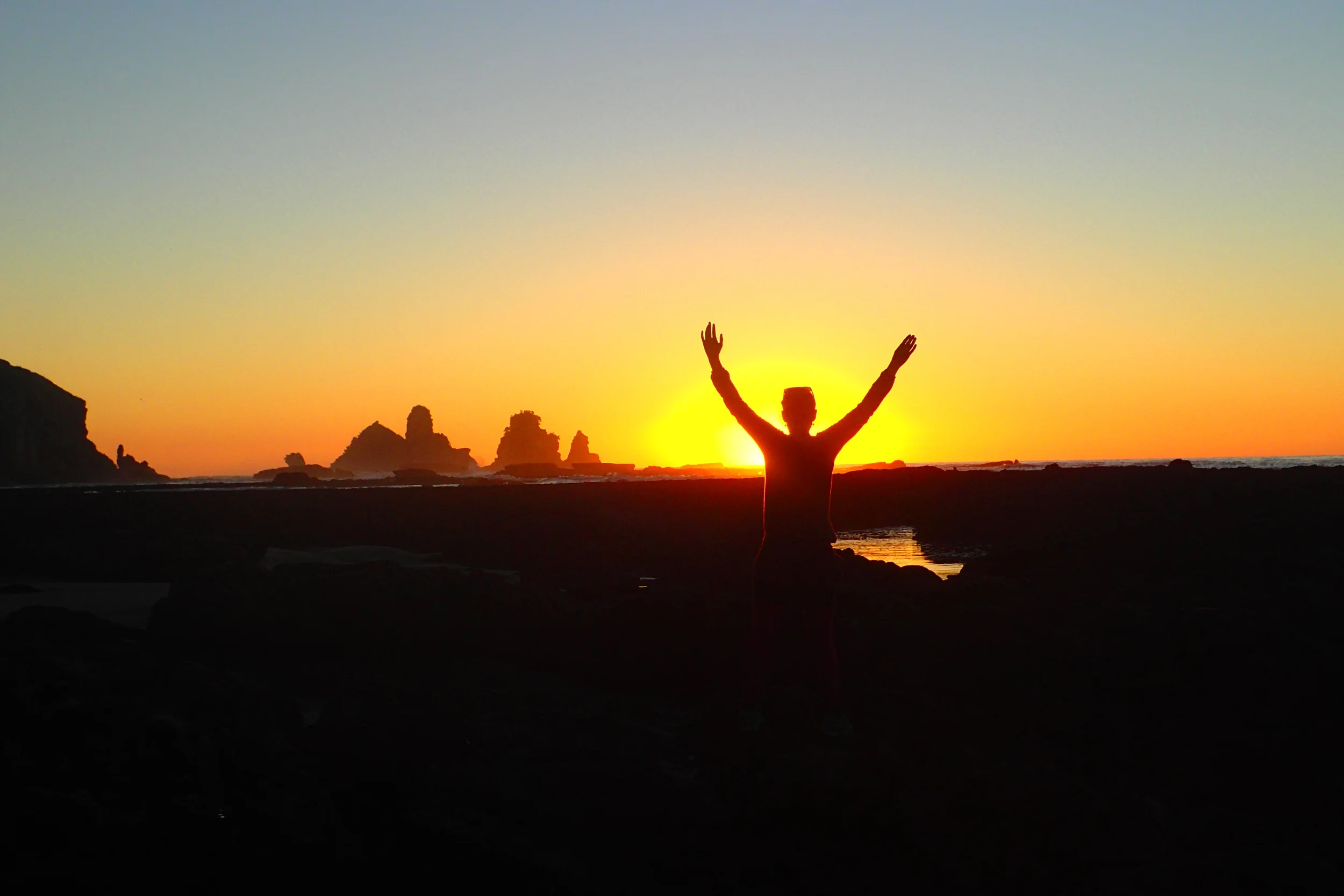 Seals, sunsets, and sandflies on the gorgeous West Coast of New