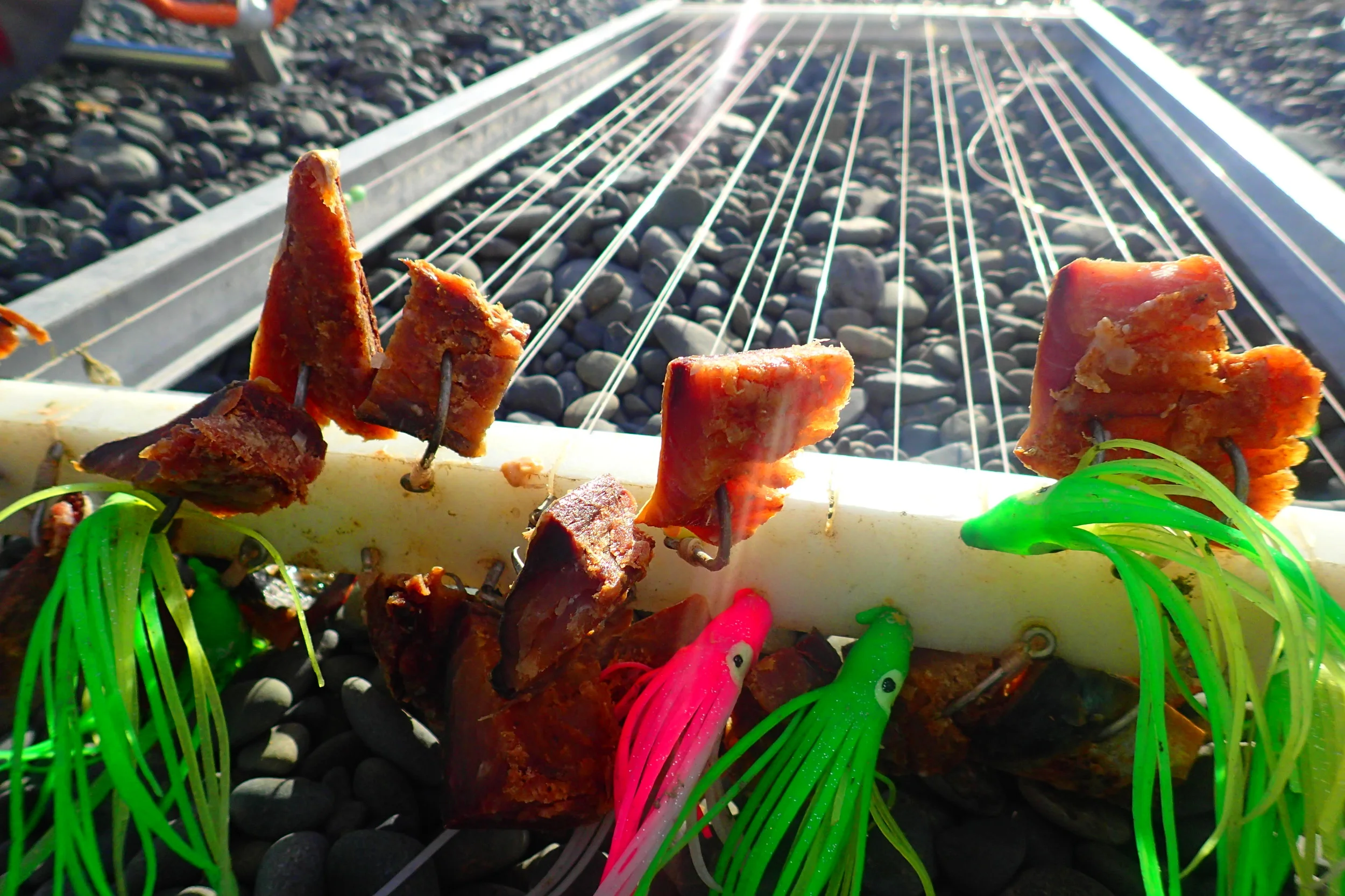 Fishing, free-diving, and feasting with a local in Hawke’s Bay