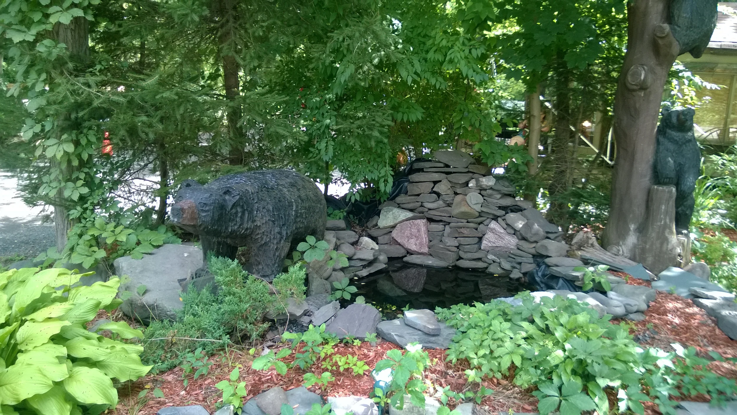 My bear encounter in the Catskill Mountains (Woodland Valley Camp, NY)