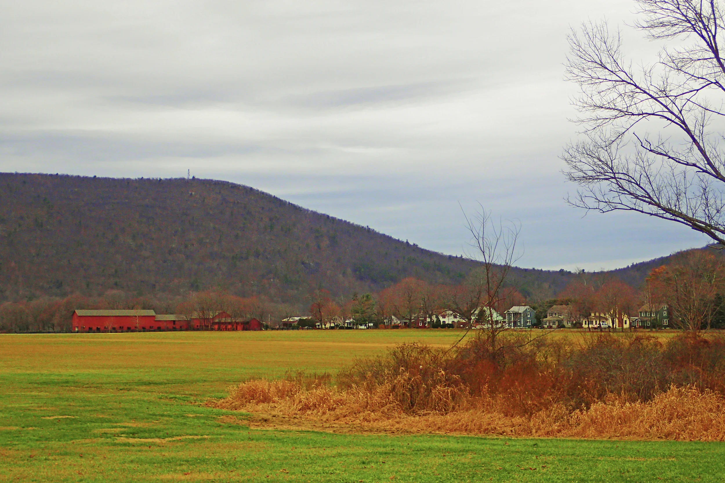Climbing Stissing Mountain in New York: Hiking in My Hometown