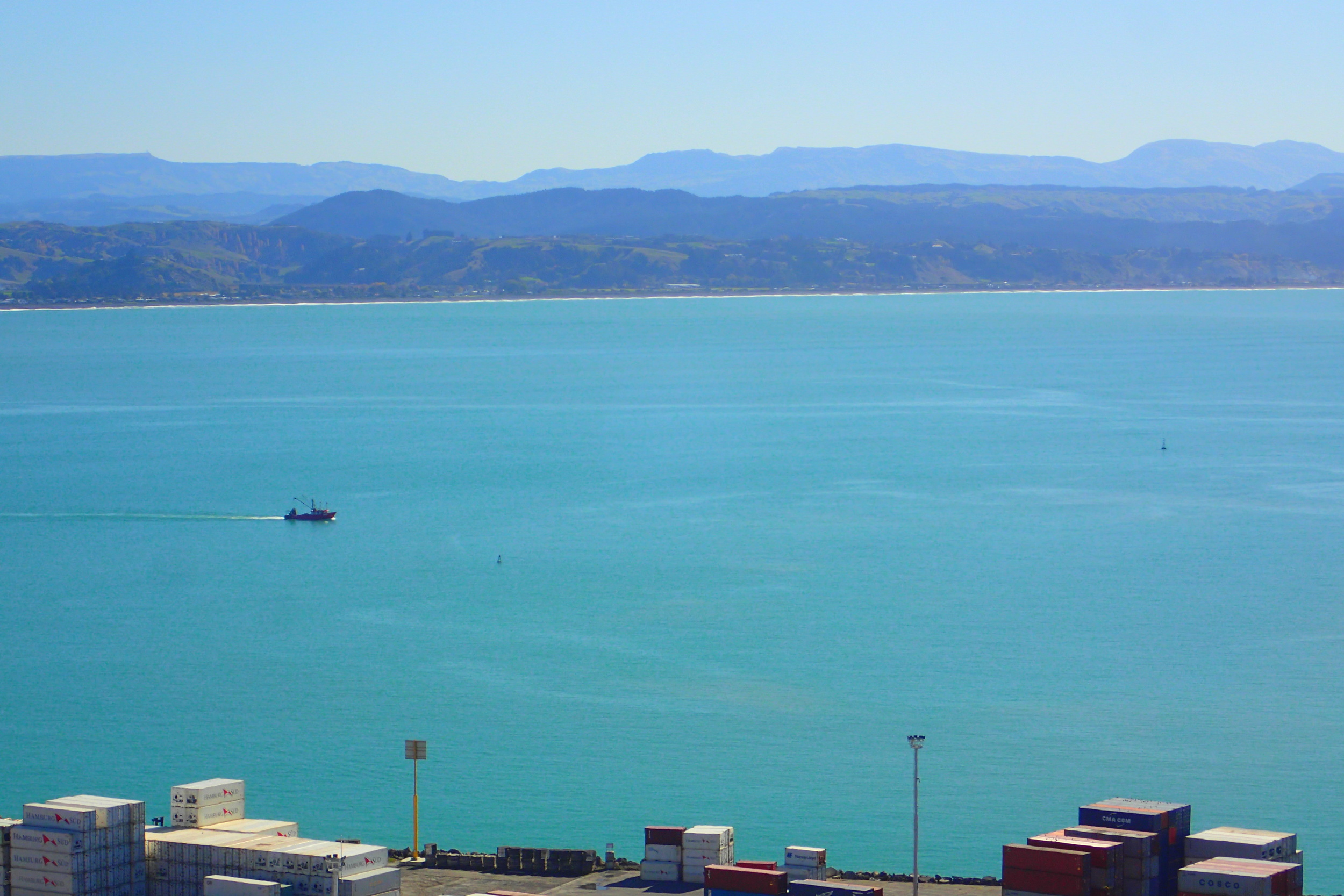 There's a thriving fishing industry from the Port of Napier